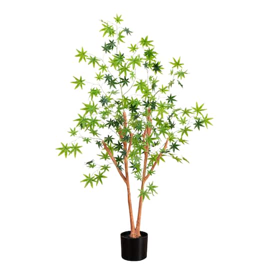 4ft. Potted Maple Tree